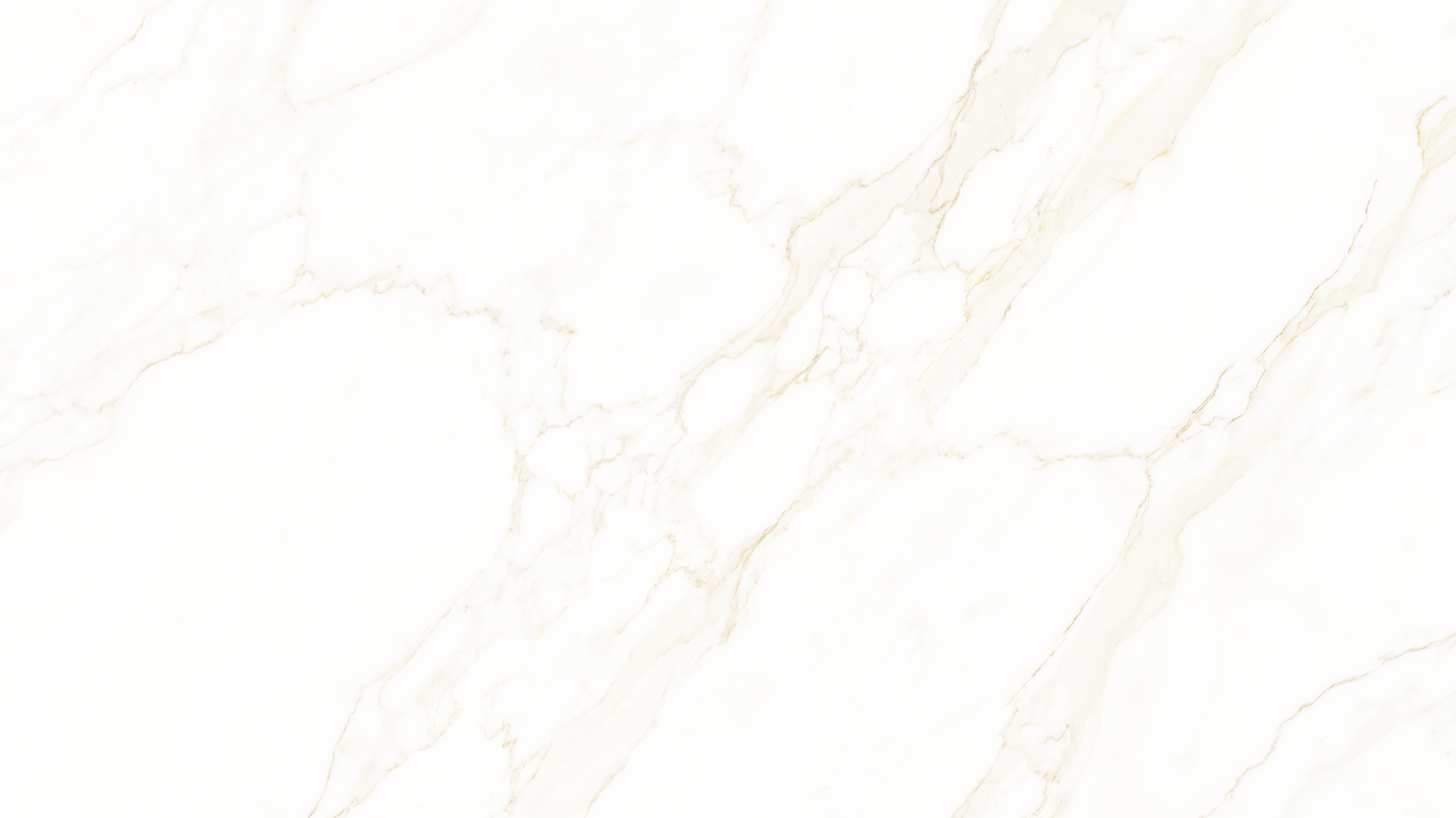 Background Texture